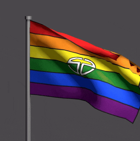 a rainbow flag with a white sd logo on it