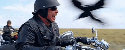 Motorcycle Laugh GIF - Motorcycle Laugh Bird GIFs