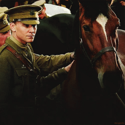 Good Boy GIF - War Horse Tom Hiddleston Horse GIFs