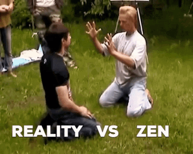 Reality Zen GIF - Reality Zen Punch GIFs