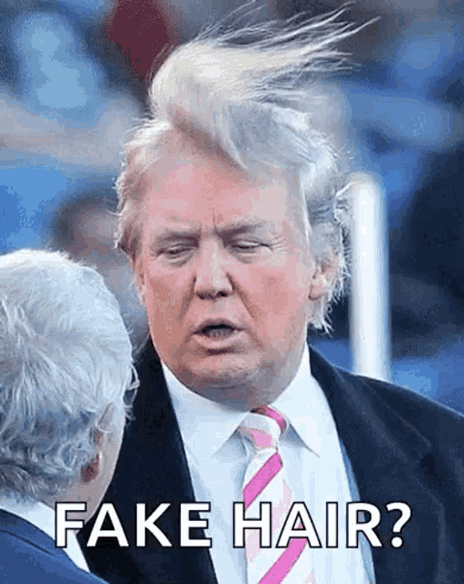 donald trump is wearing a suit and tie and has his hair blowing in the wind while talking to another man .
