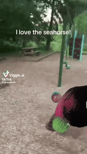 a video of a person playing with a seahorse on a playground