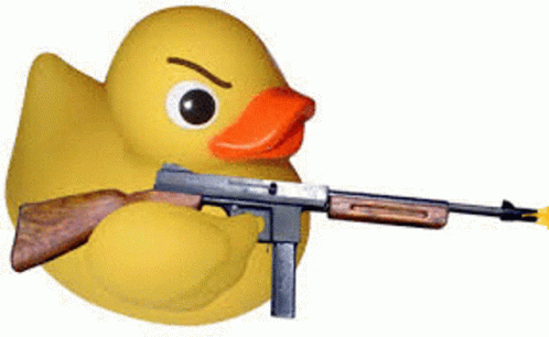 Questionable Duck Duck With A Gun GIF