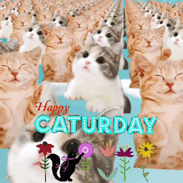 Happycaturday Easter Bunny GIF - Happycaturday Easter Bunny Eastereggs GIFs