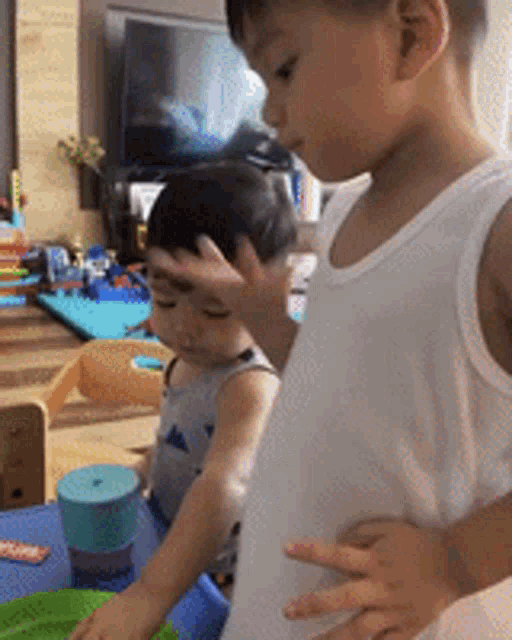 two little boys are playing with toys in a living room .