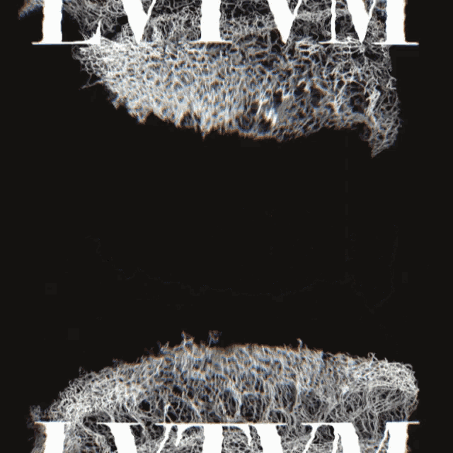 a black background with white letters that say lvtvm