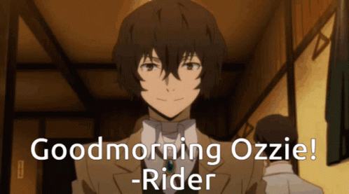Ozzie Rider GIF - Ozzie Rider Link Rider GIFs