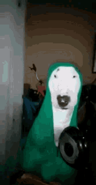 a stuffed animal dog is wearing a green hooded jacket and headphones .