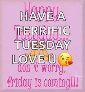 Happy Tuesday Dont Worry Friday Is Coming GIF - Happy Tuesday Dont Worry Friday Is Coming Motivation GIFs
