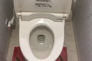 日本　トイレ GIF - Japan Nihon Toilet GIFs