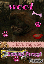a picture of a dog with the words woof i love my dog on it