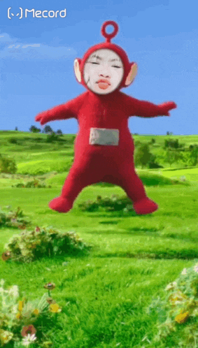 a picture of a teletubbies with a face on it