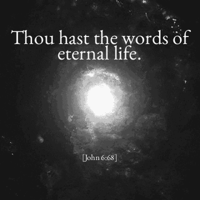 thou hast the words of eternal life john 6:58