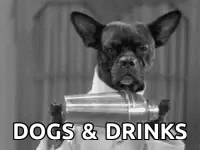 Dogs And Drinks GIF - Dogs And Drinks GIFs