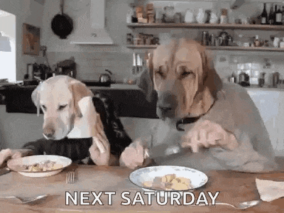 two dogs with human faces are sitting at a table with plates of food .