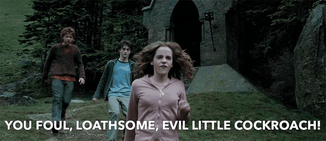 a harry potter poster with the words you foul loathsome evil little cockroach on the bottom