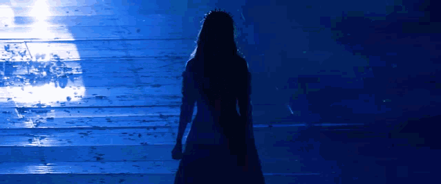 a silhouette of a woman with a crown on her head standing on a set of stairs