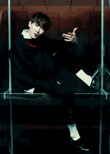 Hoyoung Verivery GIF