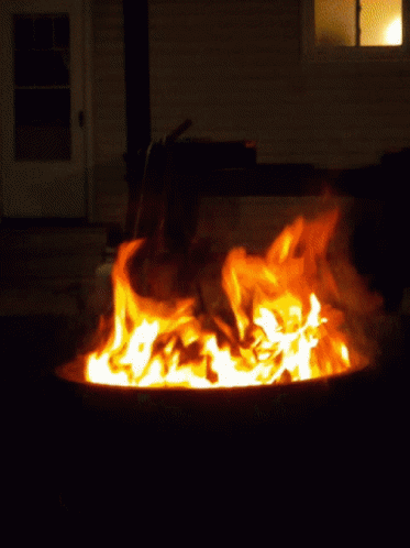 Burning Fire GIF - Burning Fire Firepit GIFs