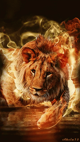 Lion Fire GIF - Lion Fire Revolving GIFs