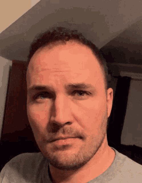 a man with a beard and a gray shirt looks at the camera