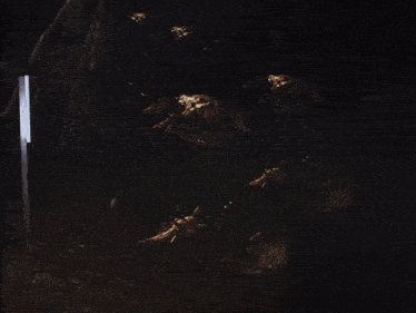 a man in a black hooded jacket stands in front of a painting of monsters