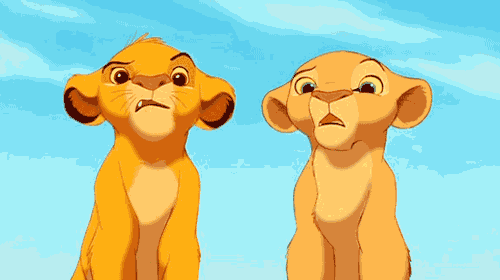 simba and nala from the lion king are looking up at something