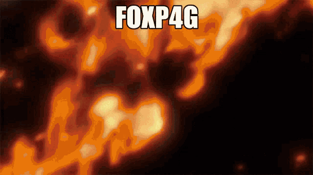 Fox P4g Desiree GIF - Fox P4g Desiree Diluc GIFs