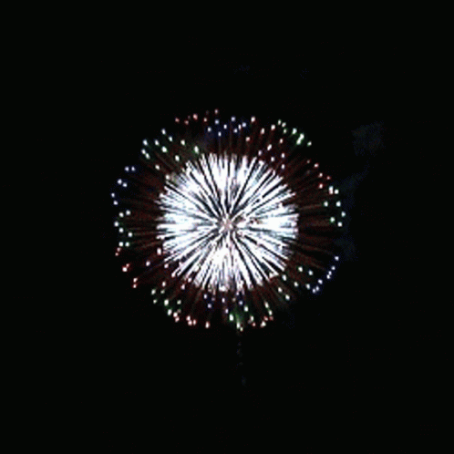 Fireworks Happy GIF
