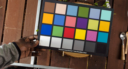 a person is holding a microsoft color checker