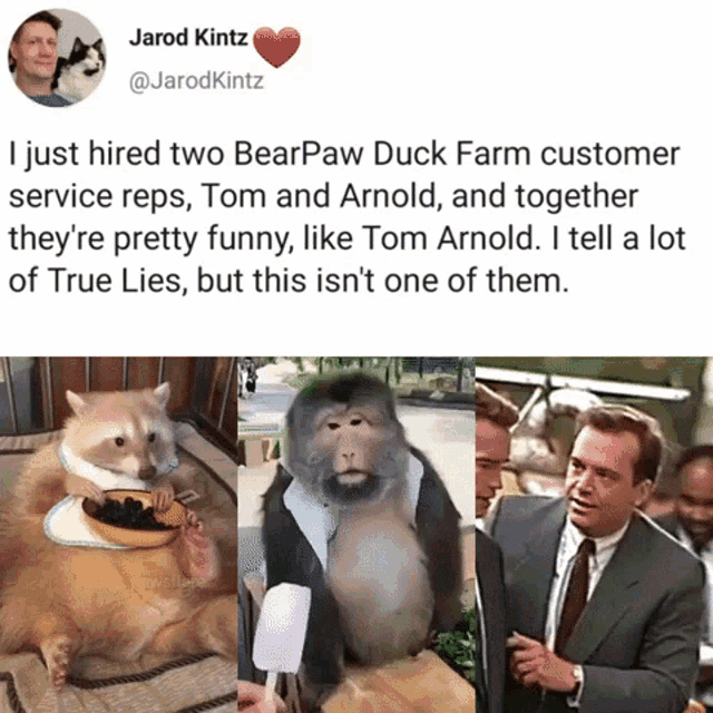 Dank Meme GIF