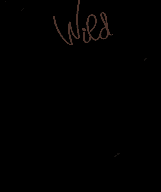 a black background with white letters that say wild sale up to 50 % off