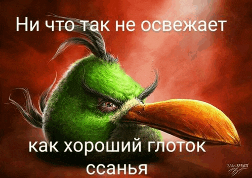 a picture of an angry bird with russian writing on the bottom