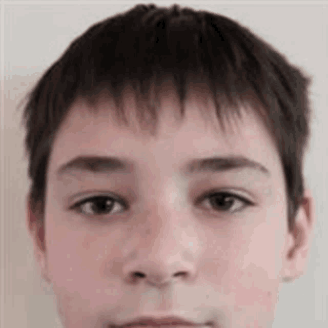 a close up of a young boy 's face against a white background .