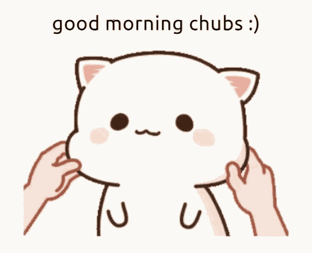 a cartoon cat with the words good morning chubs written below it