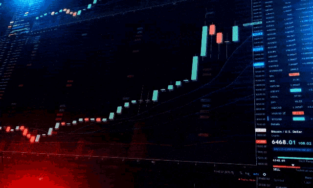 a computer screen displays a graph which shows the price of bitcoin
