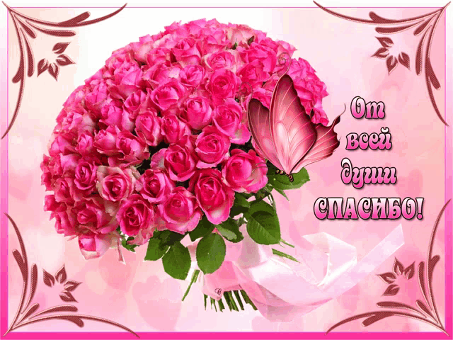 a bouquet of pink roses is on a pink background with a butterfly and the words om bcei dyum спасибо