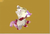 a cartoon rabbit with glasses and a bow tie is standing on a brown background .