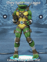 a picture of a teenage mutant ninja turtle that says they hate me cause cause they aint me
