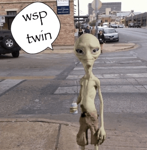 a speech bubble with wp twin written on it