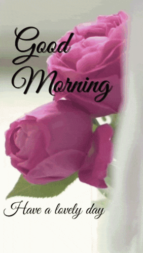 a picture of pink roses with the words " good morning have a lovely day "