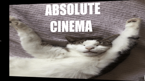 a cat is laying on its back with its paws in the air with the words absolute cinema above it