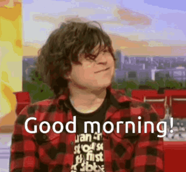 a young man wearing a plaid shirt is saying good morning