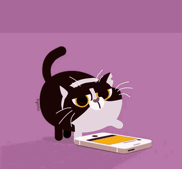 a black and white cat standing next to a cell phone with the words instagram aynisinemalar