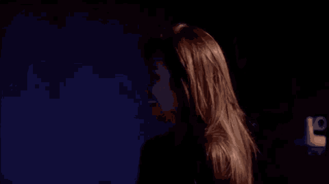 the back of a woman 's head with long brown hair is shown in a blurry photo .