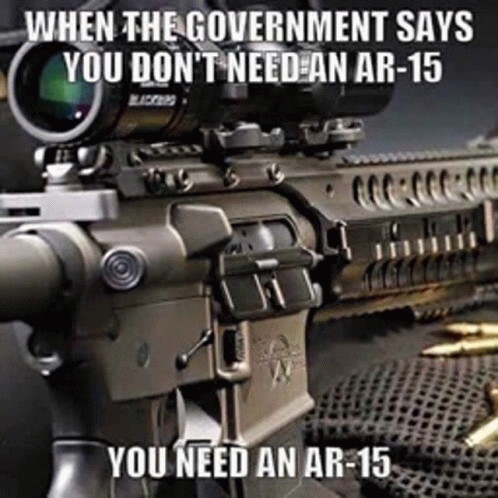 Ar15 Government GIF - Ar15 Government 2a GIFs