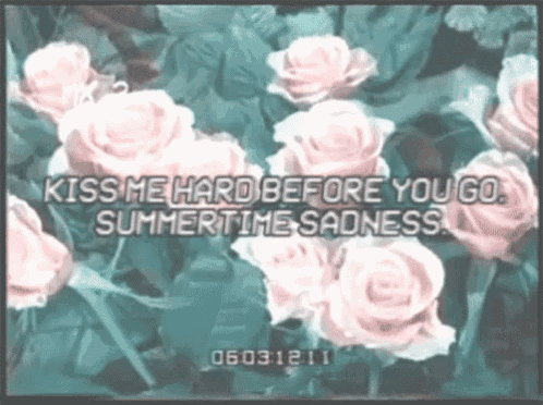 a bunch of pink roses with the words kiss me hard before you go