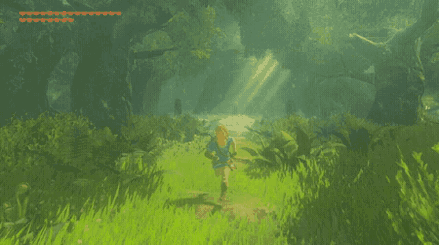 Zelda Breath Of The Wild GIF - Zelda Breath Of The Wild Korok GIFs