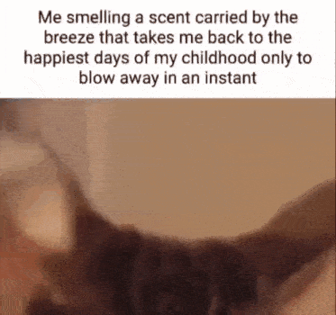 Me Smelling A Scent Carried By The Breeze Taking Me Back To The Happiest Days Of My Childhood GIF - Me Smelling A Scent Carried By The Breeze Taking Me Back To The Happiest Days Of My Childhood Only To Be Blown Away In An Instant GIFs