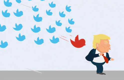 Trump Twitter GIF - Trump Twitter Chasing GIFs